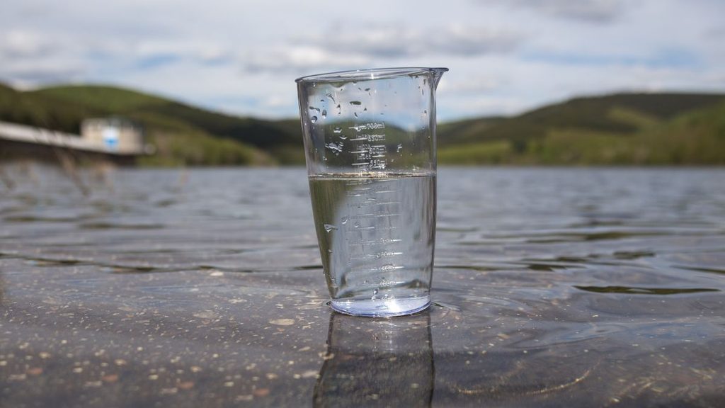 Can You Just Use Water From a Creek or Lake?