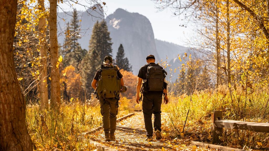 Everyone Is Chasing the Same Peak Foliage Report