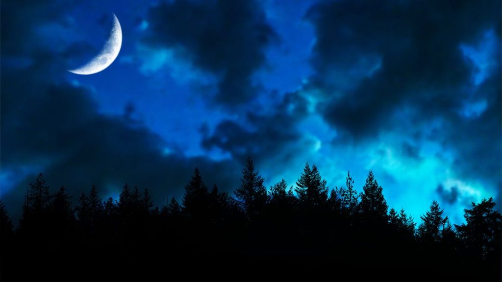 Twilight