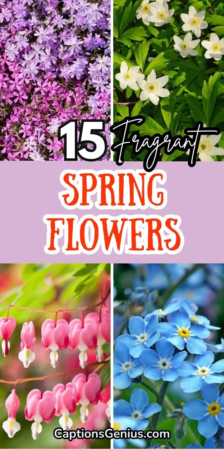 15 Fragrant Spring Flowers for a Sensational Seasonal Garden