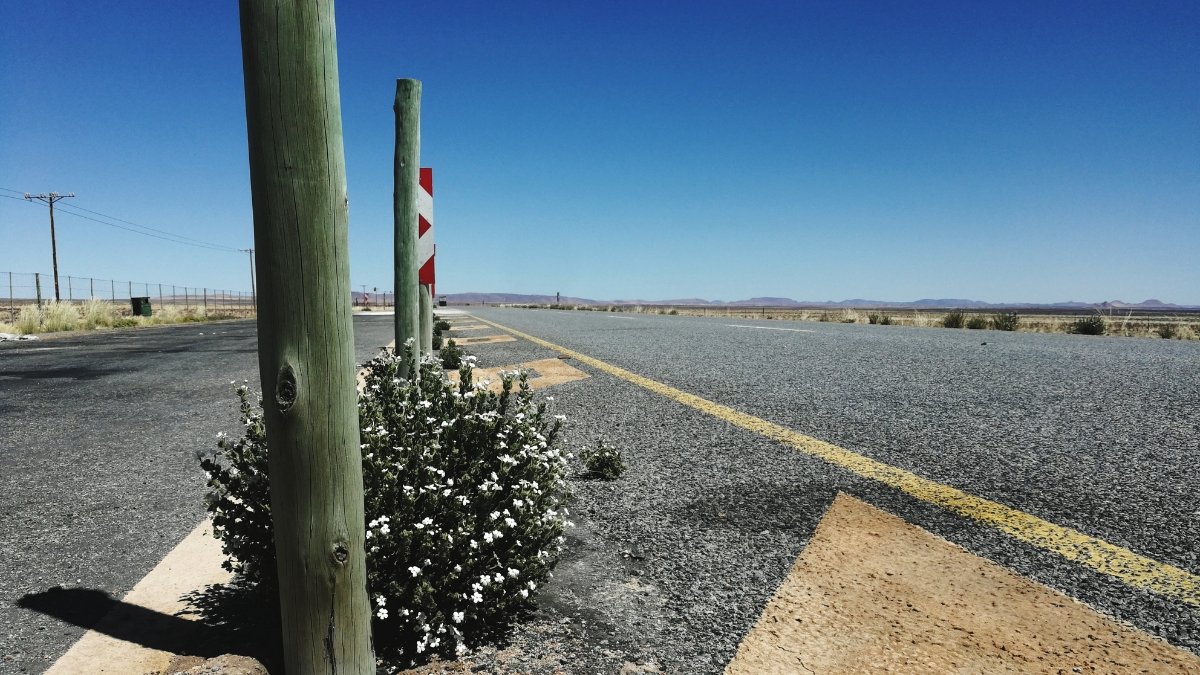 15 Jaw-Dropping, Totally Bizarre US Roadside Attractions — You’ll Want to Pull Over For!