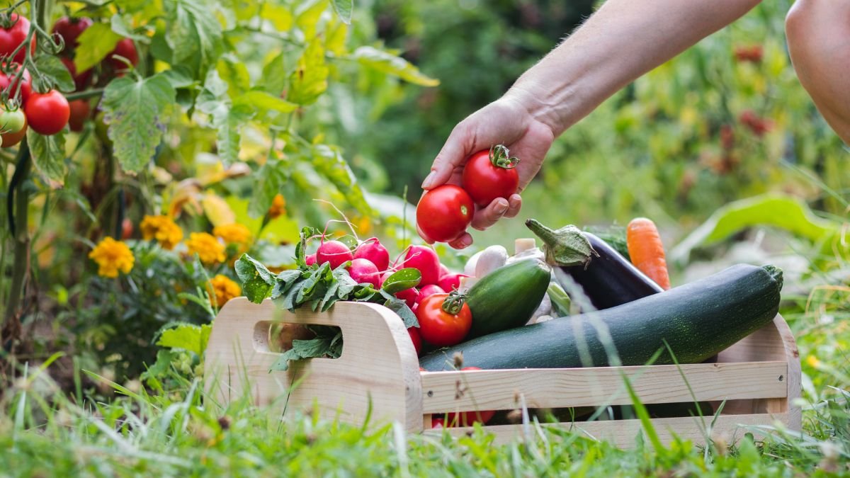 15 Nutritious Vegetables to Plant in Spring For a Healthy Garden