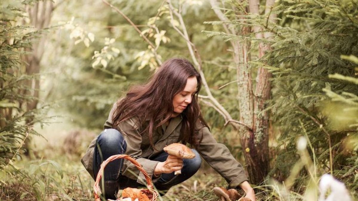 25 Edible Plants Hiding At Popular Campsites