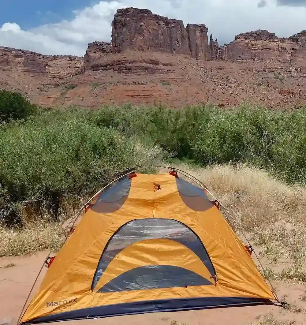 Activities and Attractions Near Your Campsite