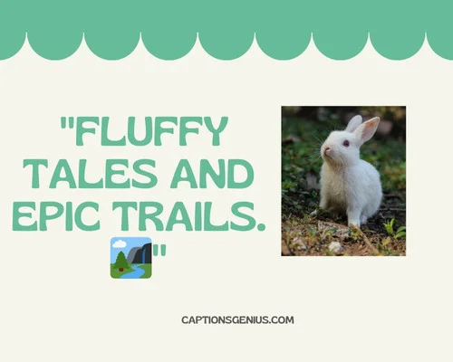 Adorable Bunny Captions For Instagram - Fluffy tales and epic trails.