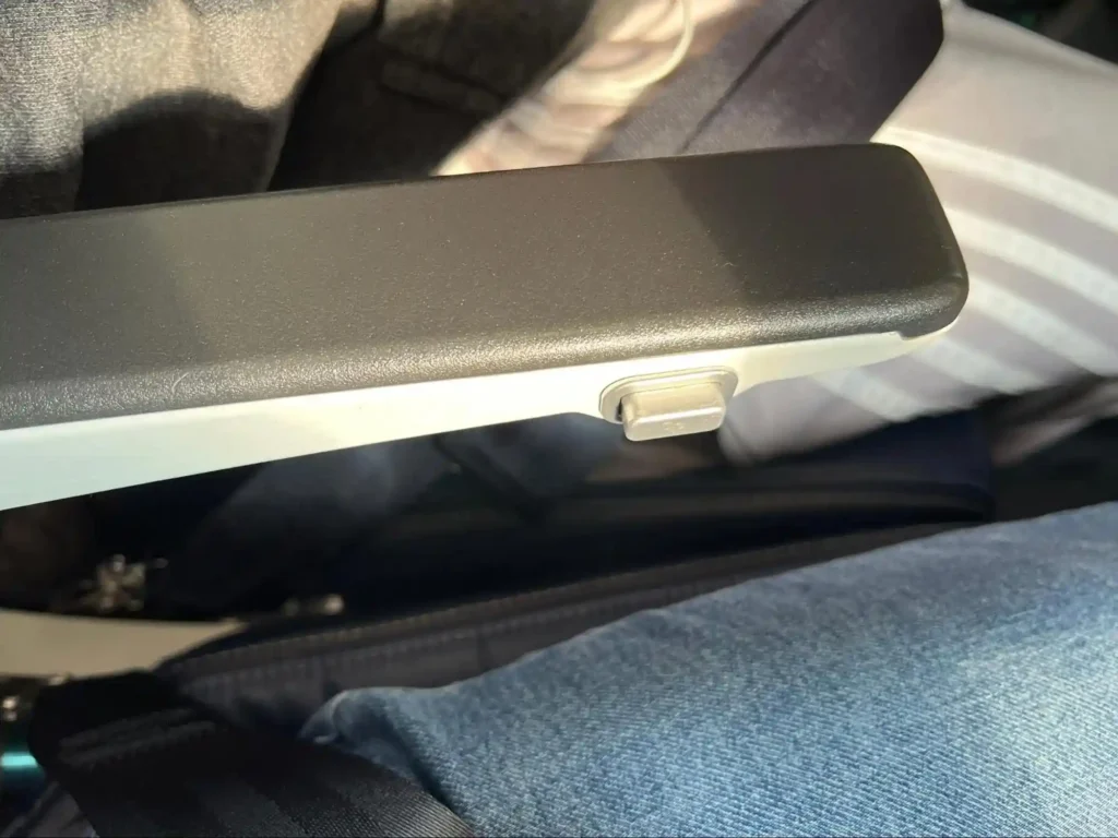 Airplane Seat Features Most Passengers Overlook