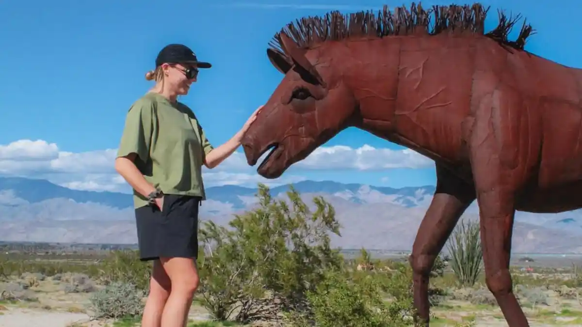 Anza-Borrego's Metal Sculptures Hidden in Desert