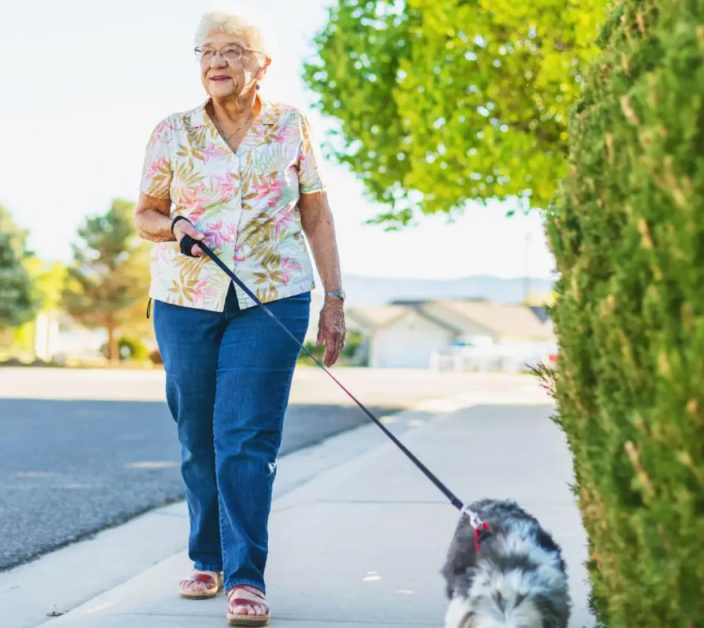 Are the Sidewalks Smooth and Well Maintained