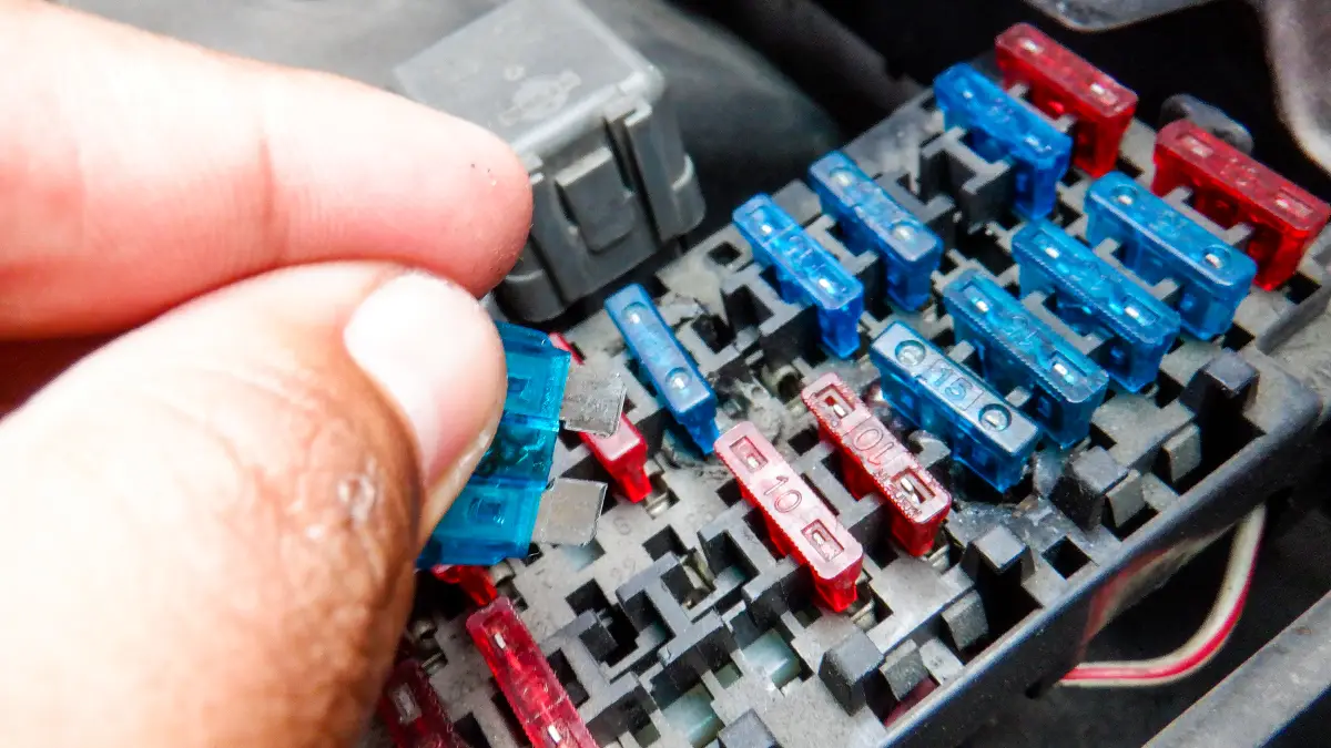 Automotive Fuse Assortment