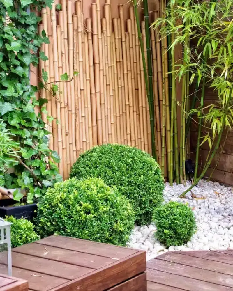 Bamboo-Backed Rock Garden With A Stone Lantern