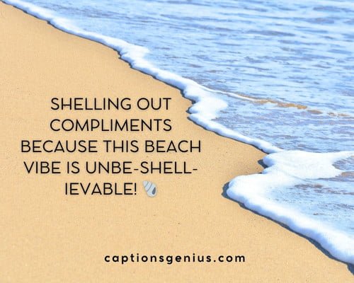 Beach Puns For Instagram - Shelling out compliments because this beach vibe is unbe-shell-ievable!