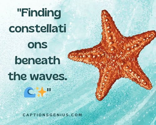 Beautiful Starfish Captions For Instagram - Finding constellations beneath the waves.