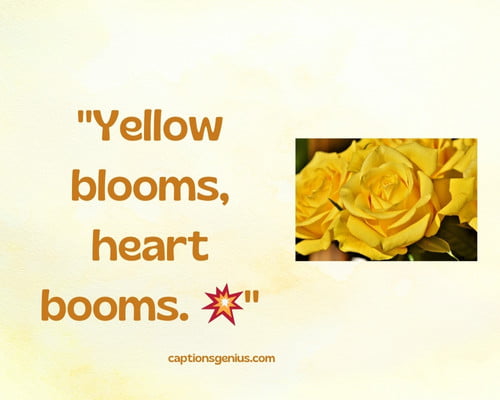 Beautiful Yellow Flower Captions For Instagram - Yellow blooms, heart booms.
