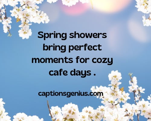 Best Spring Captions For Instagram - Spring showers bring perfect moments for cozy cafe days.