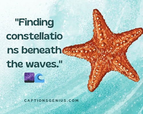 350-best-starfish-captions-for-instagram-ocean-vibes