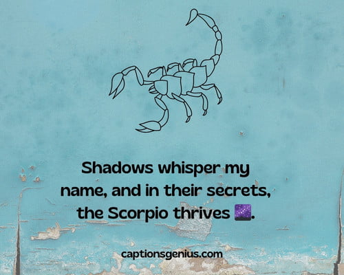 Black Scorpio Captions For Instagram - Shadows whisper my name, and in their secrets, the Scorpio thrives.