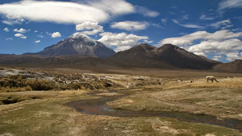 Bolivia — Sajama National Park