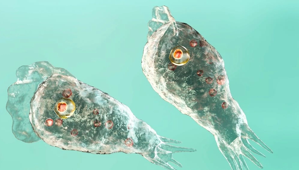 Brain-Eating Amoeba Prevention