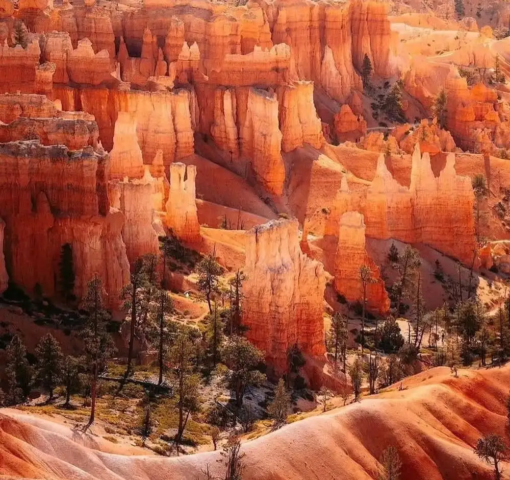 Bryce Canyon - Dixie National Forest