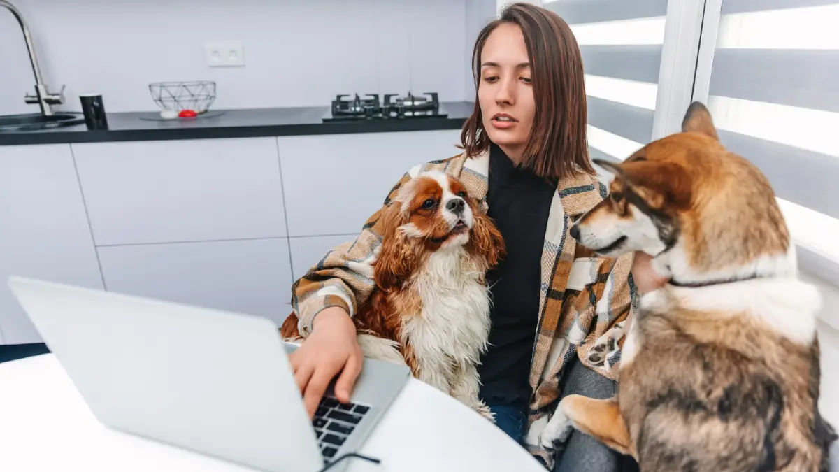 Build Your Free Pet Care Network