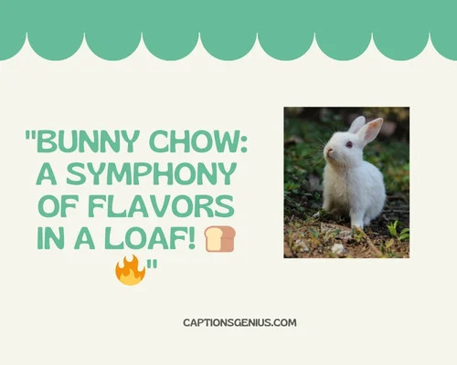Bunny Chow Captions For Instagram - Bunny Chow: A symphony of flavors in a loaf