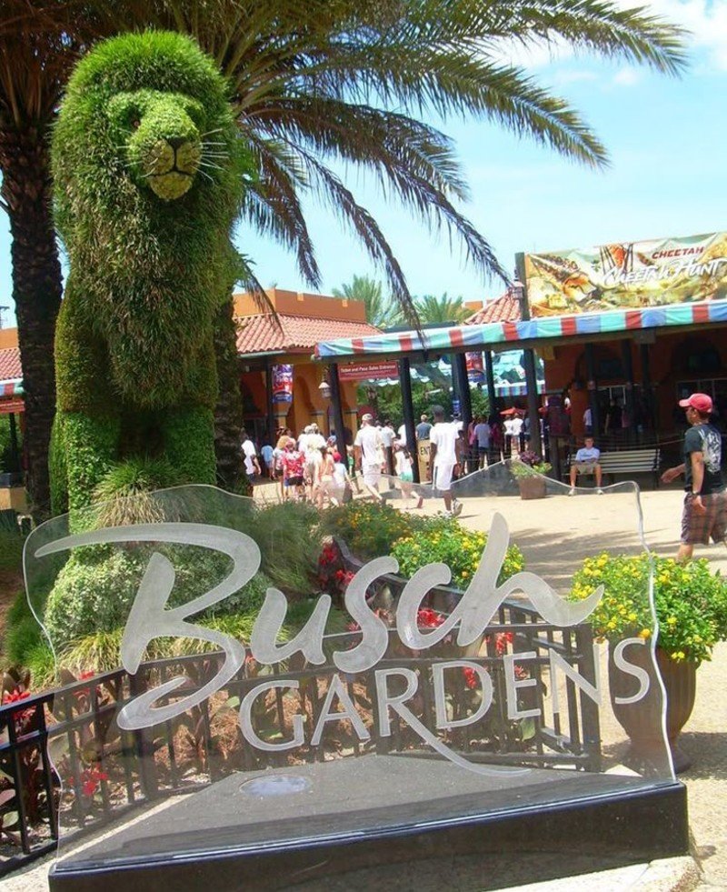 Busch Gardens Busch Gardens