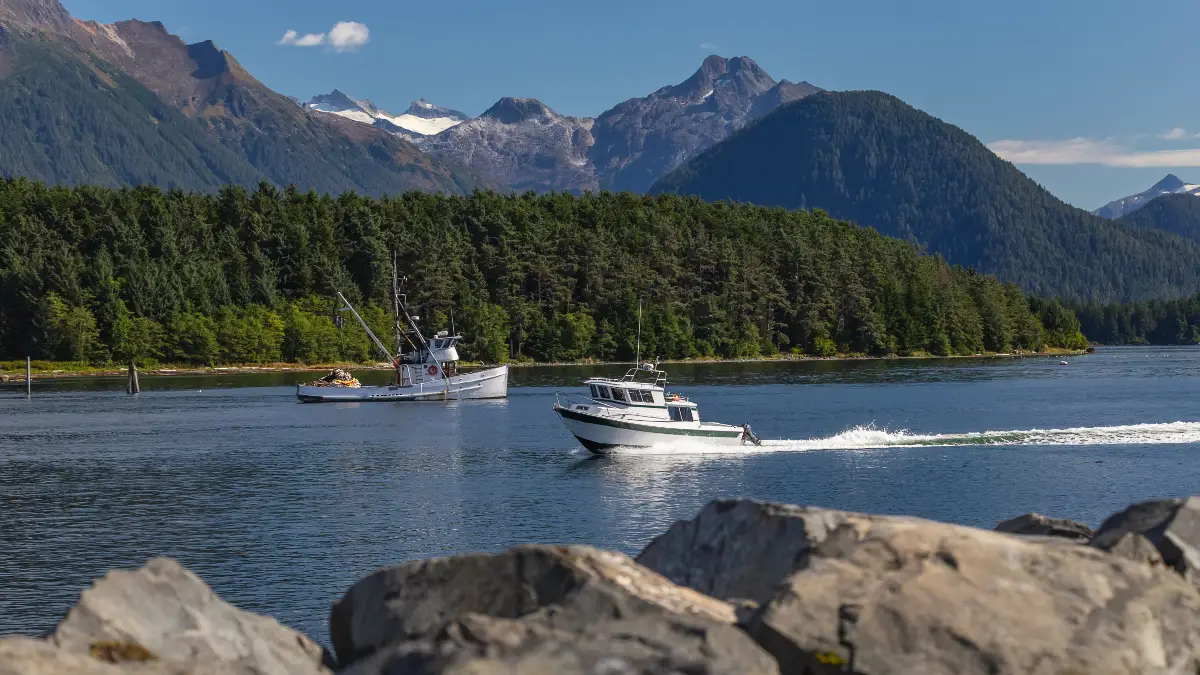 Choosing Your Perfect Milford Sound Cruise