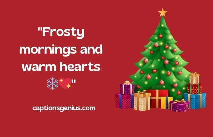 Christmas Captions For Instagram