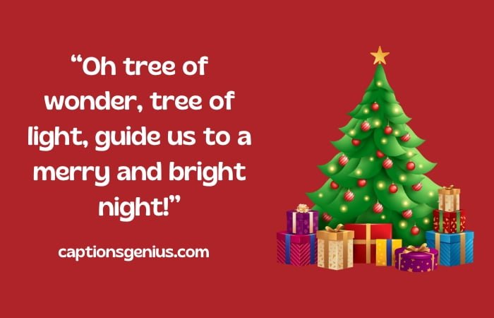 Christmas Tree Captions For Instagram