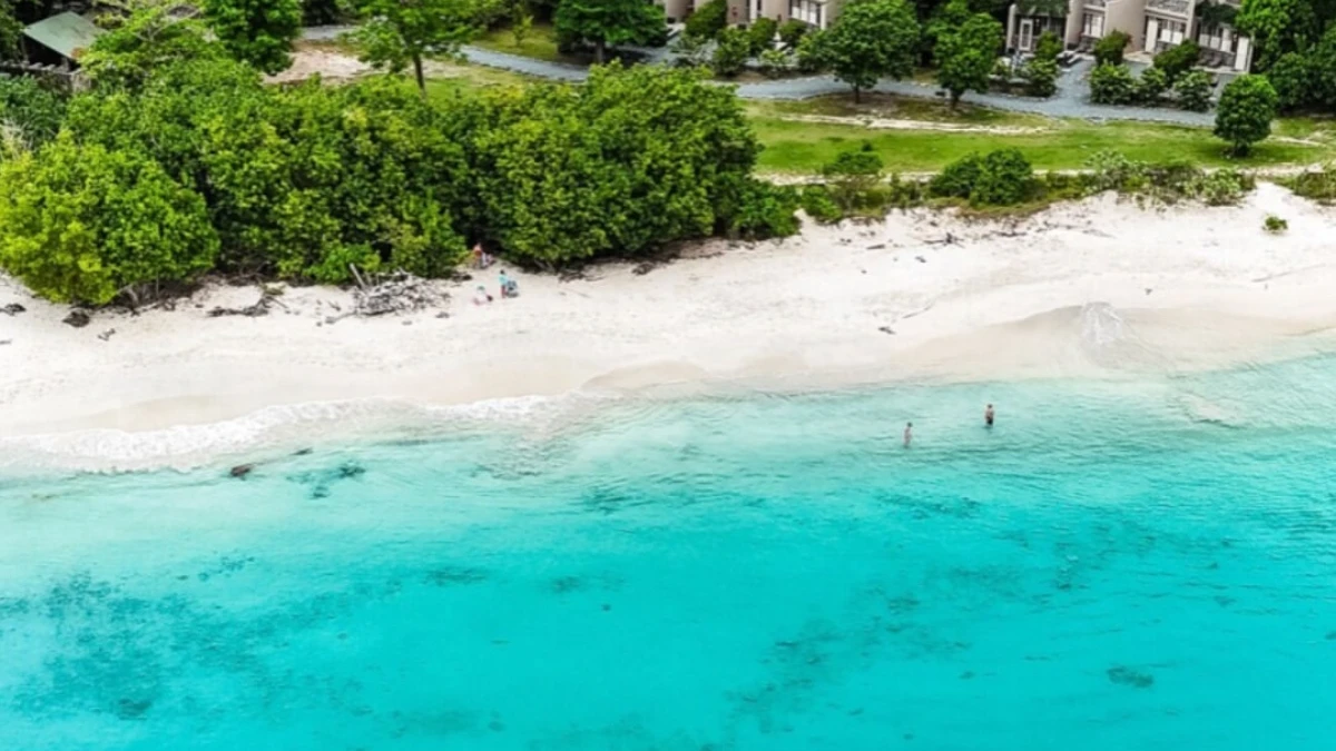 Cinnamon Bay, USV