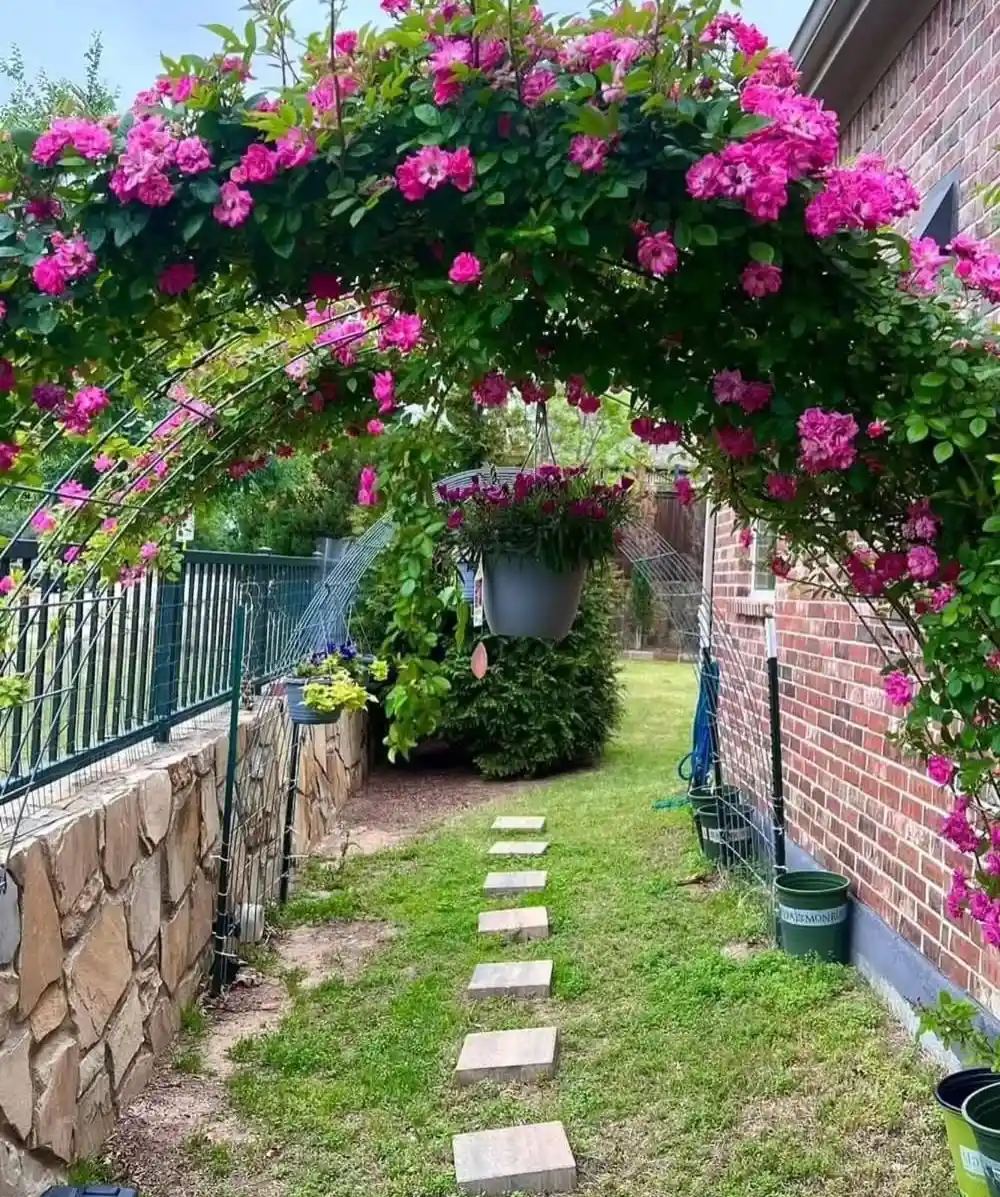Climbing Rose Arbor Gateway