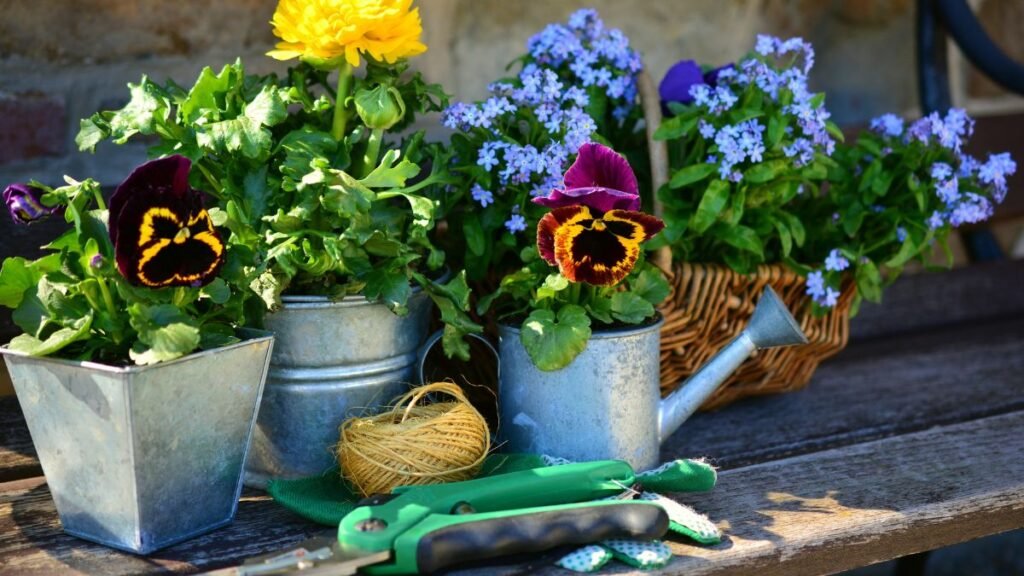 Color-Themed Container Gardens