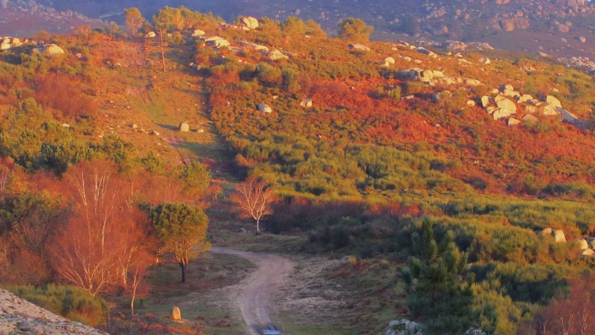 Colorado Rockies Routes During Leaf Season