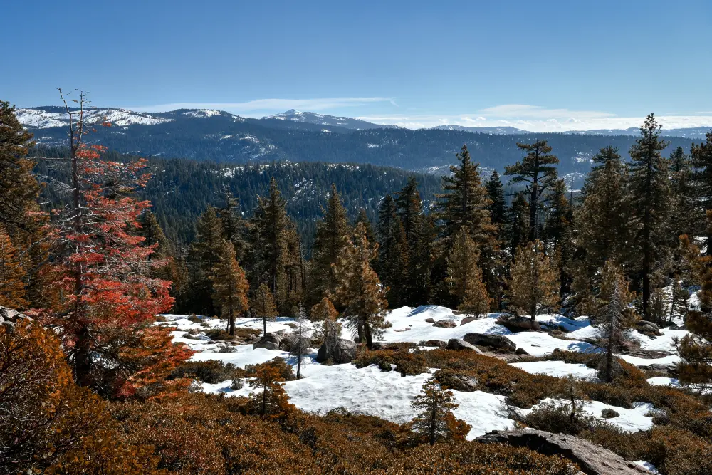 Colorado's Shoulder Season Struggles