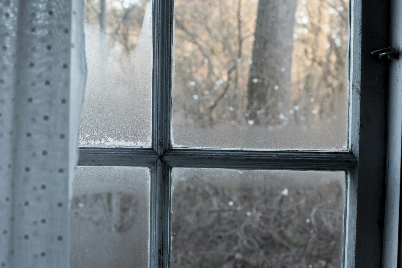Condensation Can Damage More Than Your Windows