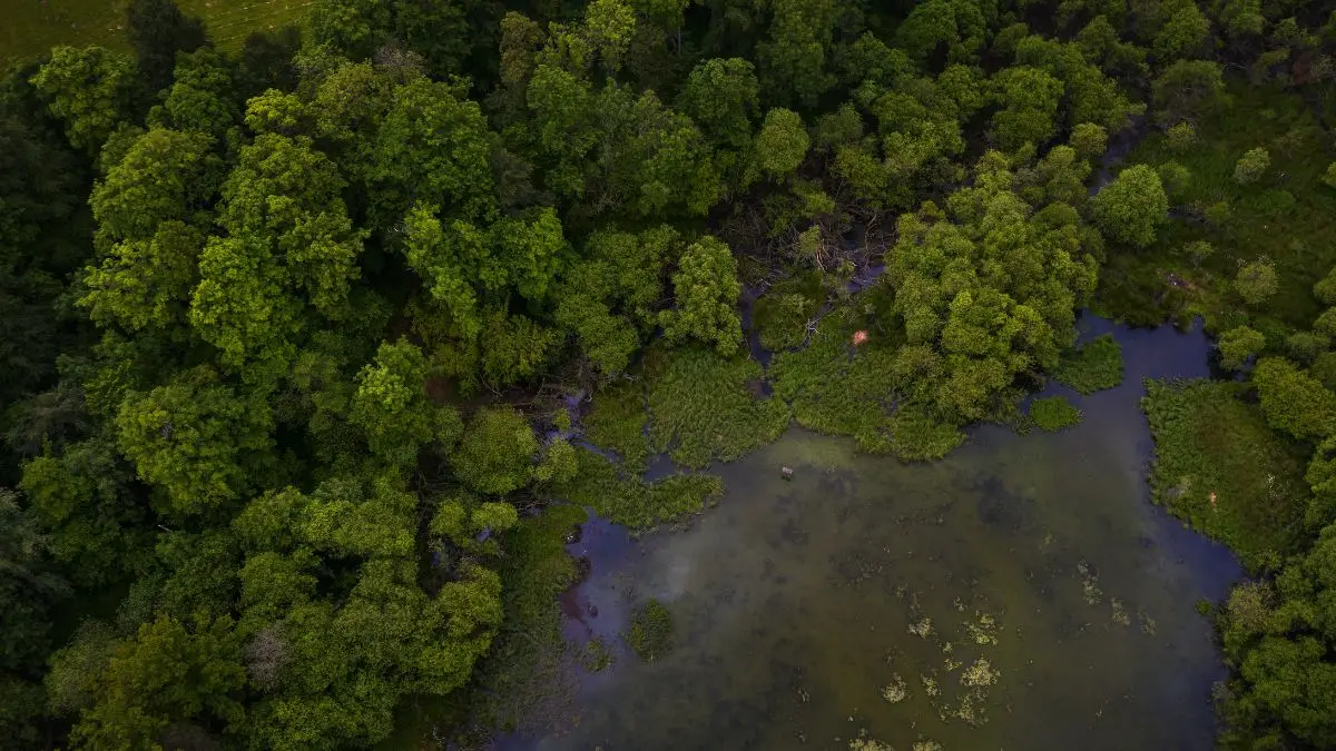 Conservation vs. Access Tension
