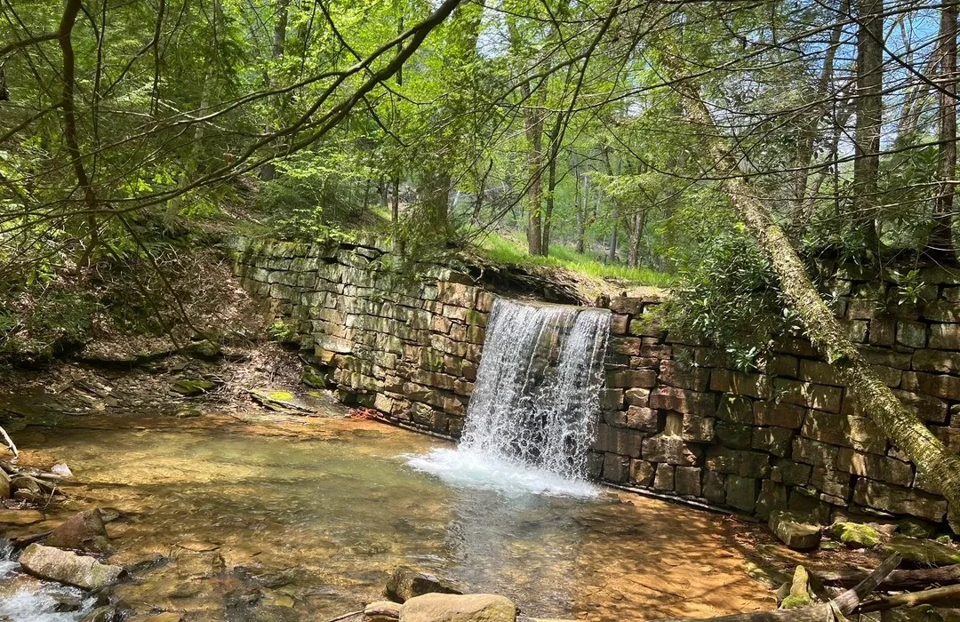 Cook Forest & Tionesta River Loop: The Devil's Highway