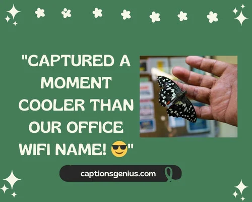 Cool Random Click Caption For Instagram - Captured a moment cooler than our office wifi name
