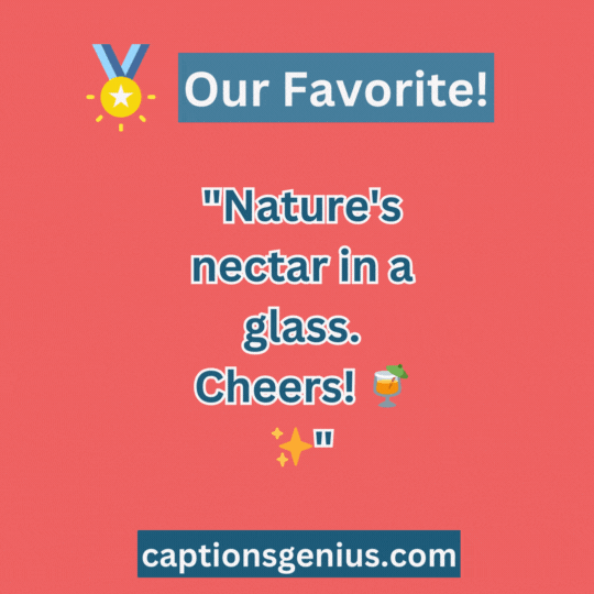 Mango Juice Captions For Instagram - GIF