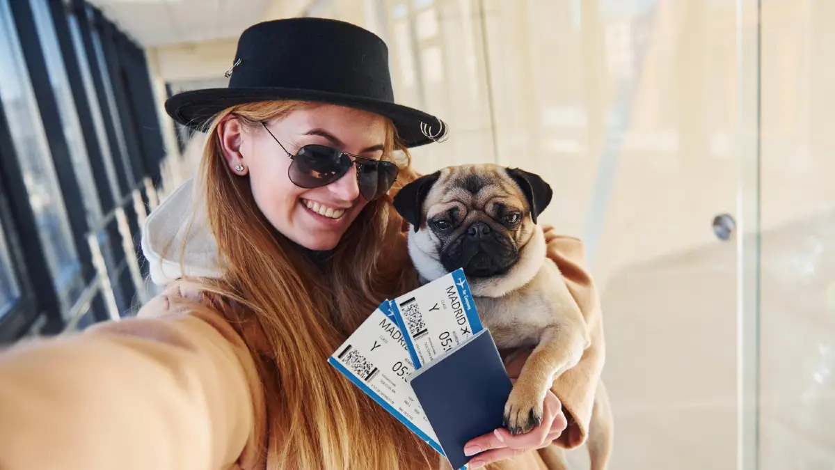 Crack the Elite Status Code for Free Pet Travel