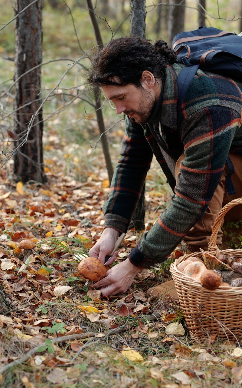 Critical Safety Rules Every Camping Forager Must Know Critical Safety Rules Every Camping Forager Must Know