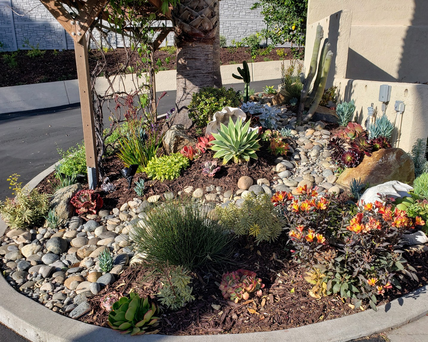 Curved Island Succulent Bed