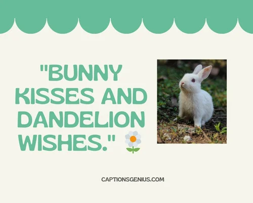 Cute Bunny Captions For Instagram - Bunny kisses and dandelion wishes.