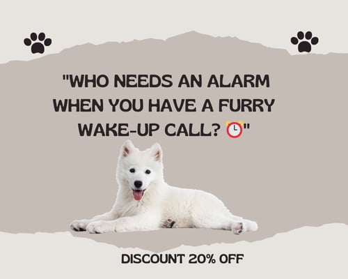 Cute New Puppy Instagram Captions - Who needs an alarm when you have a furry wake-up call?