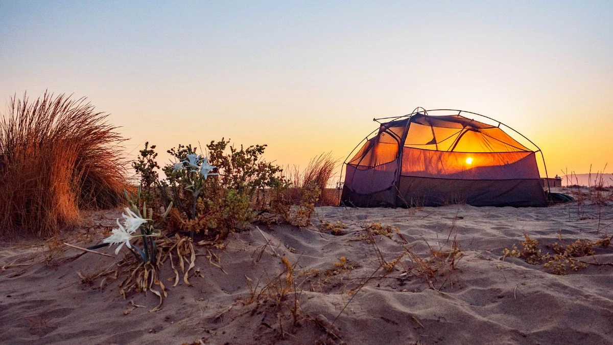 Desert Camping and Cultural Immersion