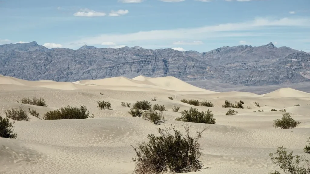 Desert Landscapes That Rival Morocco and Egypt