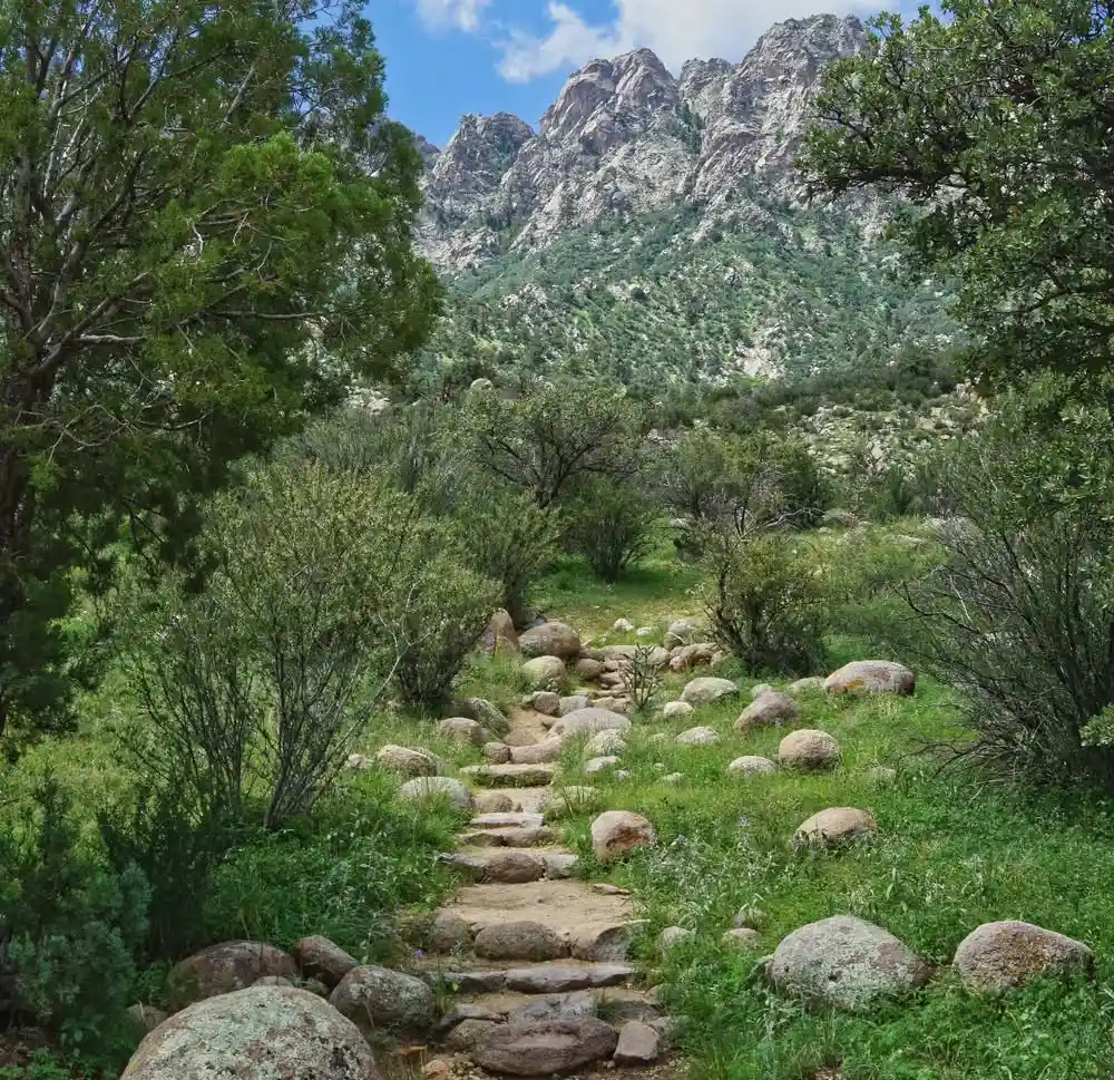 Desert Peaks and Endless Stars New Mexico's Organ Mountains Hideaway