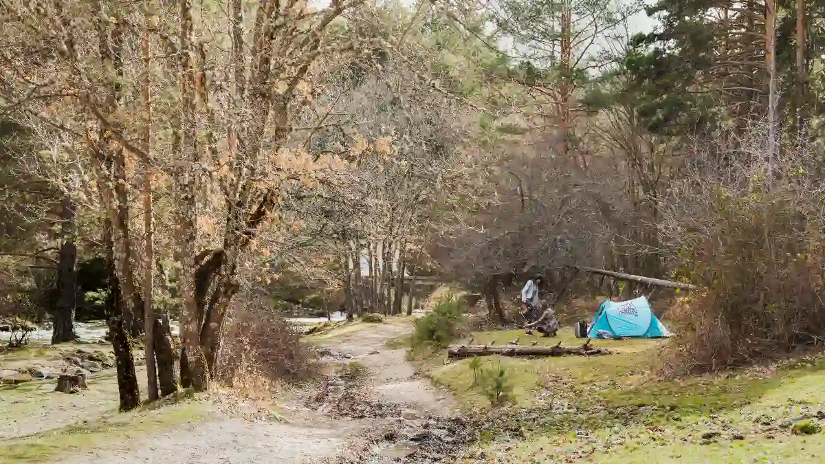 Dispersed Camping on Public Lands