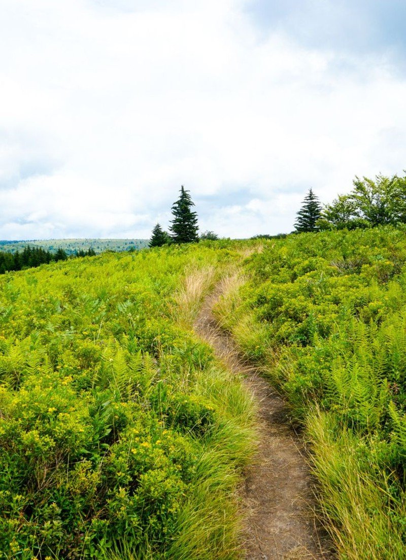 Dolly Sods Wilderness, West Virginia Dolly Sods Wilderness, West Virginia