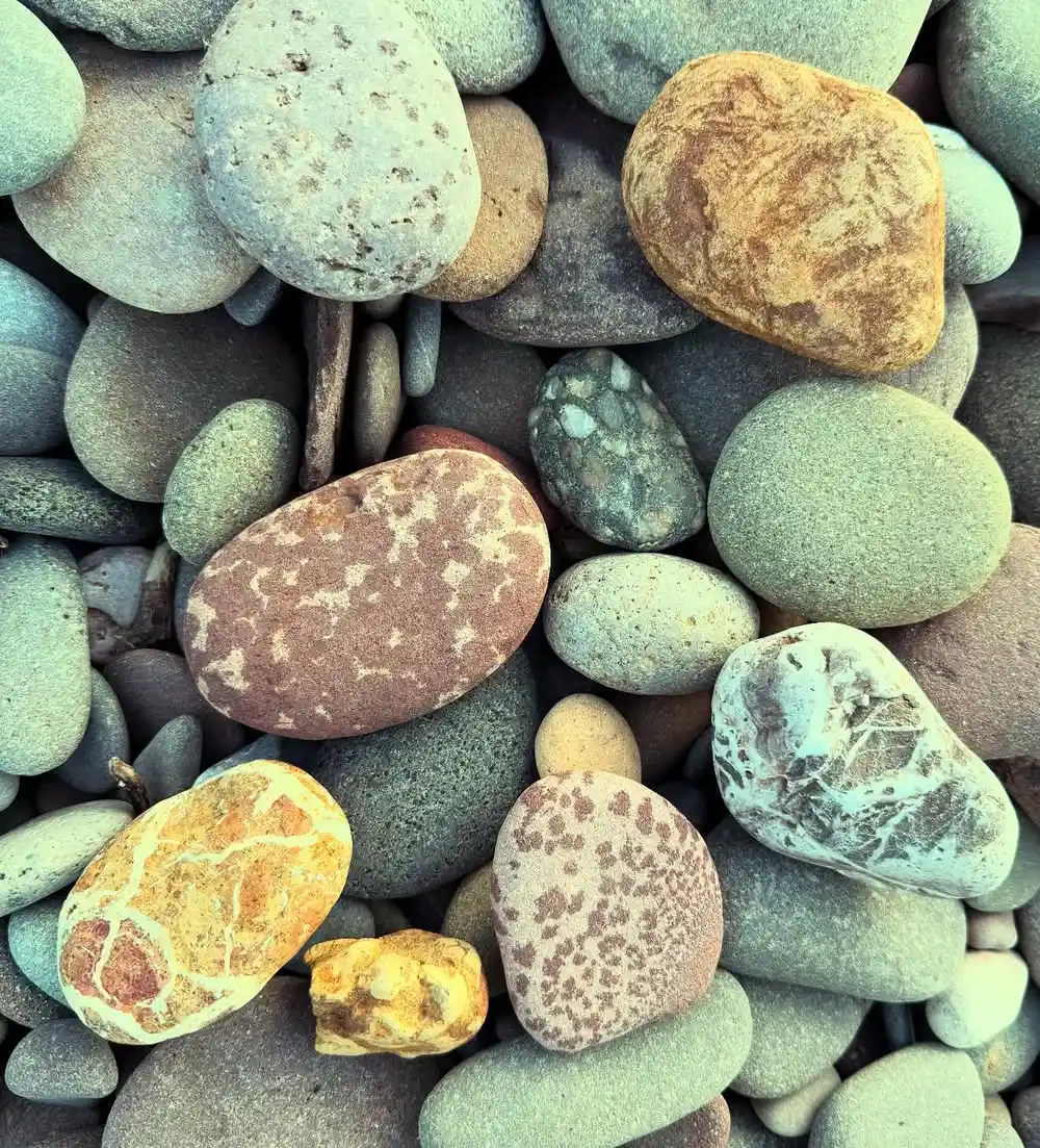 Don't collect rocks, plants, or natural objects